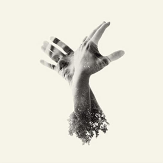 

Виниловая пластинка The Last Dinosaur - The Nothing