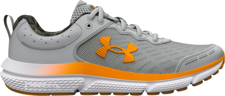 

Кроссовки Assert 10 AC GS 'Mod Grey Formula Orange', серый