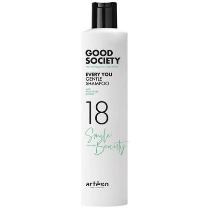 Artego Good Society 18 Every You Нежный шампунь 250 мл, Montibello шампунь для волос artego good society 18 every you gentle shampoo для всех типов волос 1000 мл