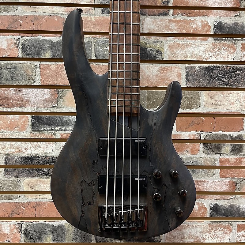 

Басс гитара ESP LTD B-205 Spalted Maple See Through Black Satin