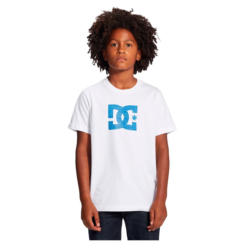 

Футболка Dc Shoes Star Fill, белый