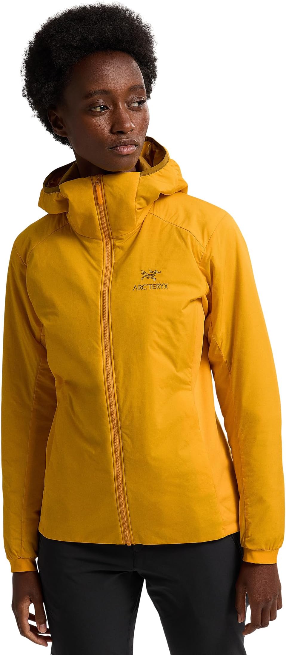 

Толстовка Atom Hoody Arc'teryx, цвет Edziza