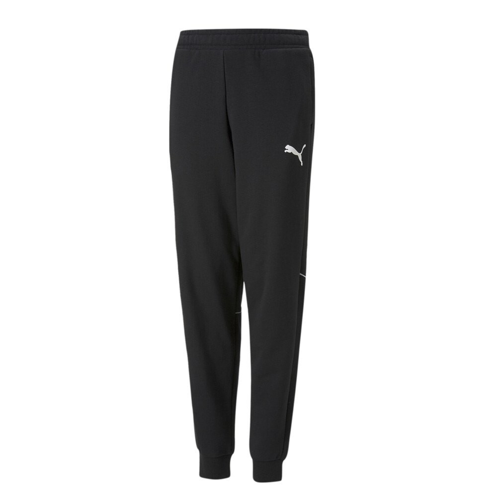 

Брюки Puma Active Sports, черный