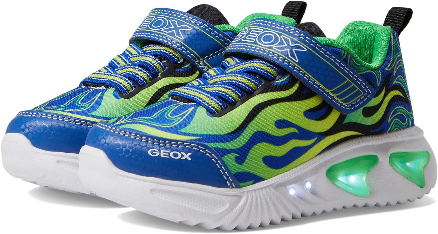 

Кроссовки Assister 6 Geox, цвет Royal/Green