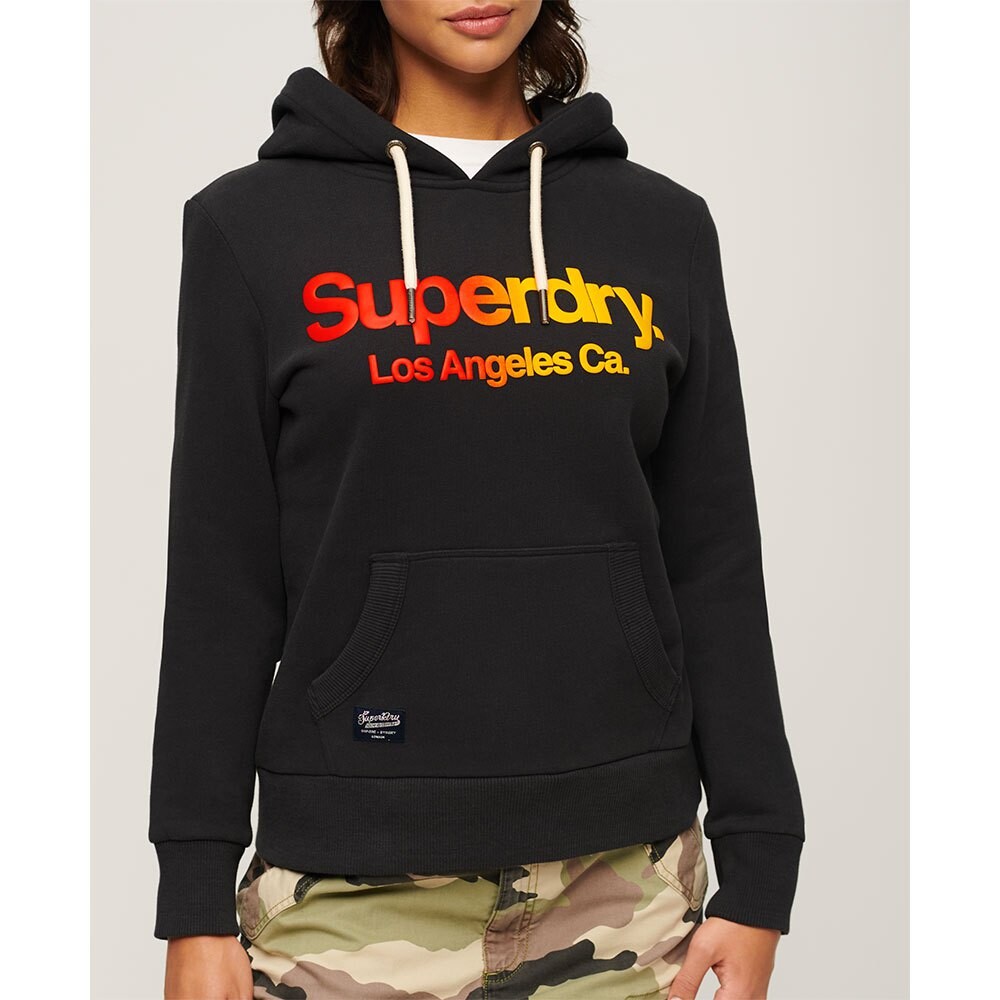 

Худи Superdry Tonal Rainbow Core Logo, черный