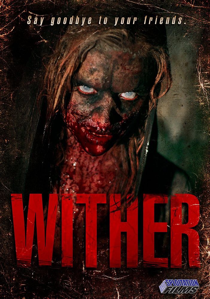 

Диск DVD Wither