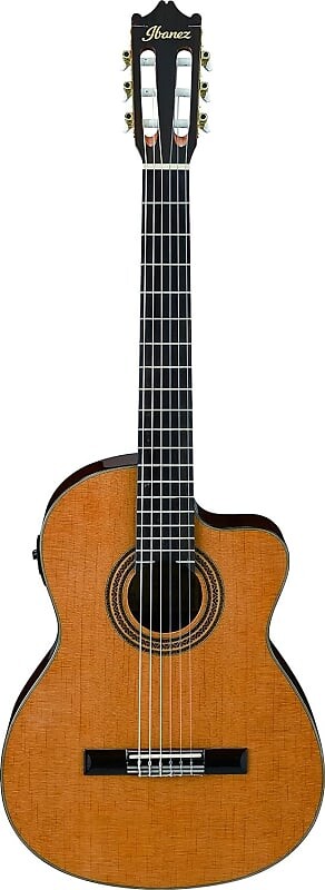 

Акустическая гитара Ibanez 6 String Classical Guitar, Right, Natural
