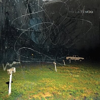 

Виниловая пластинка Yo La Tengo - This Stupid World (Limited Edition)