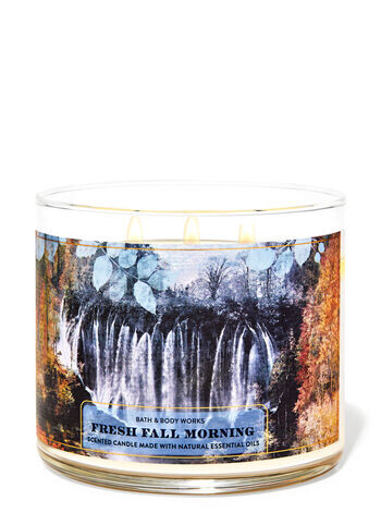

Свеча с 3 фитилями Fresh Fall Morning, 14.5 oz / 411 g, Bath and Body Works
