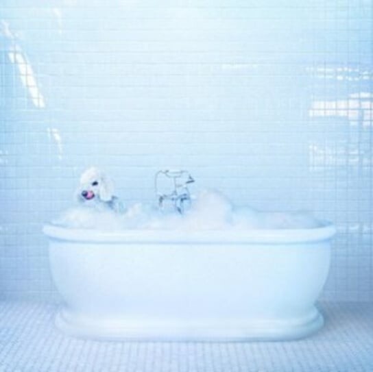 

Виниловая пластинка Frankie Cosmos - Vessel