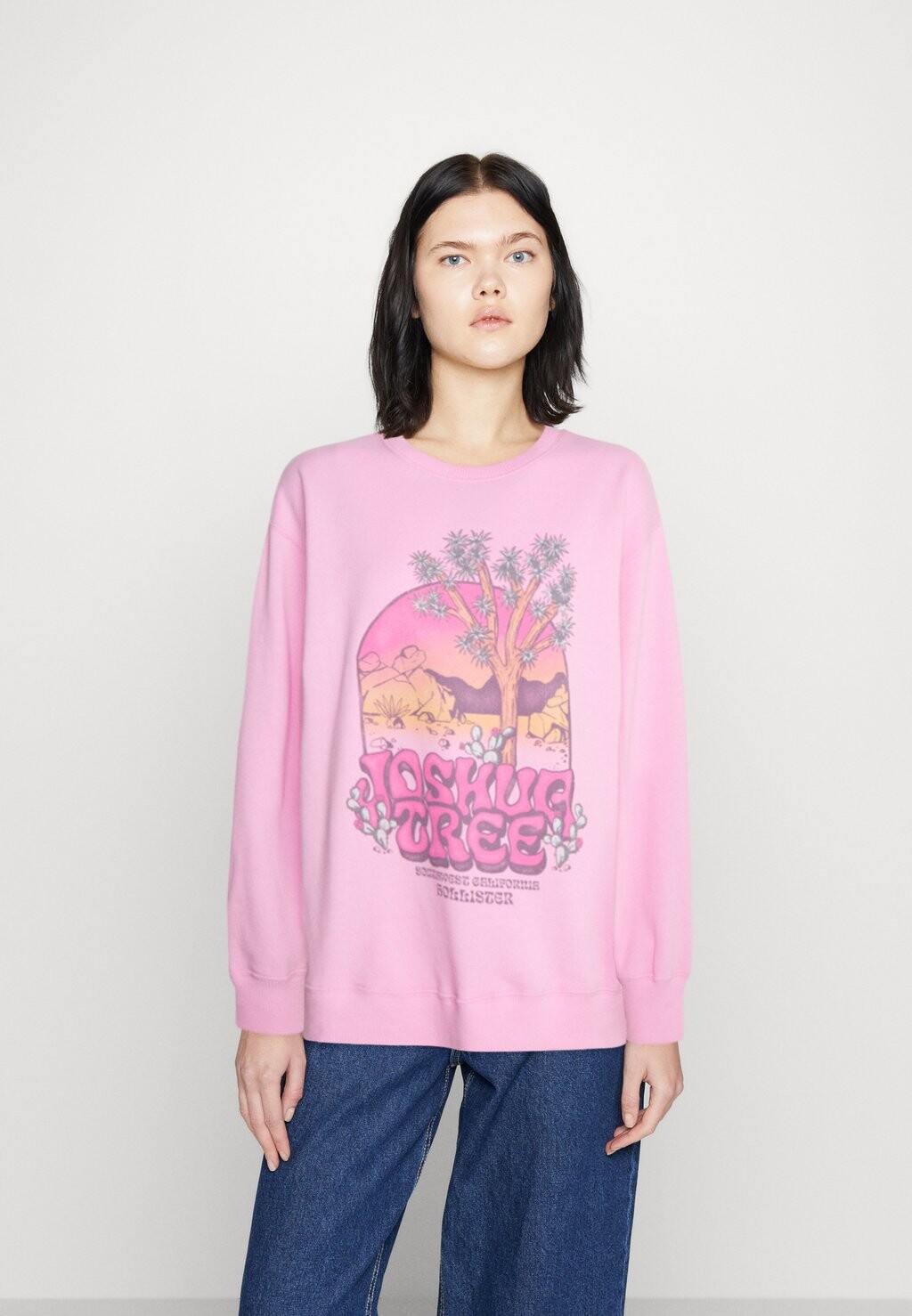 

Толстовка Hollister Co.