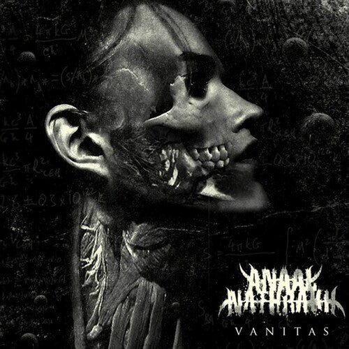 

Виниловая пластинка Anaal Nathrakh: Vanitas