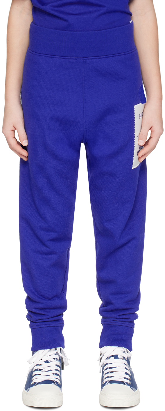 Детские синие спортивные штаны EKD Burberry