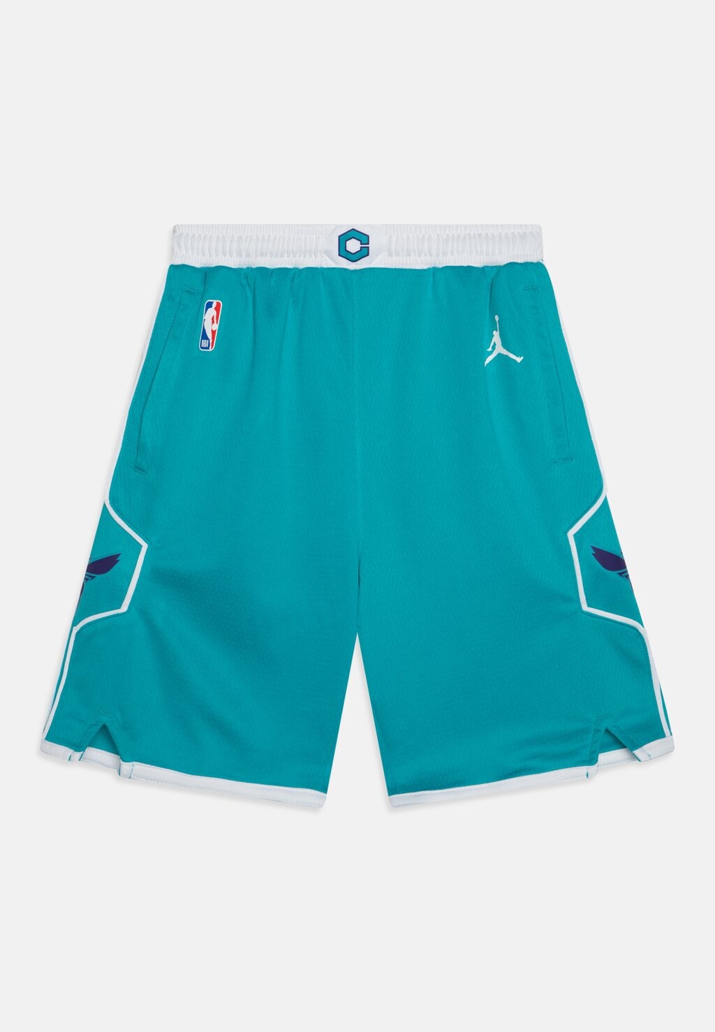 

Шорты NBA CHARLOTTE HORNETS BOYS ICON SWINGMAN UNISEX Nike, цвет teal