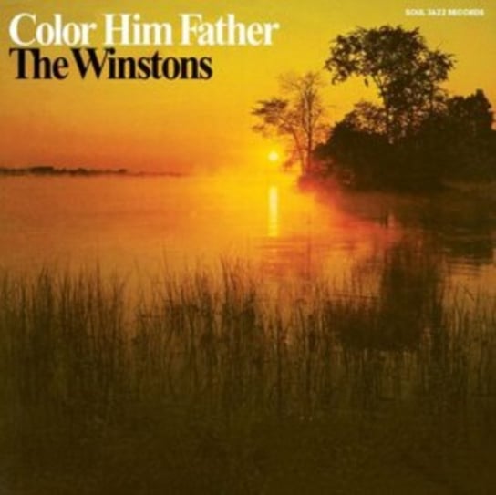 Виниловая пластинка The Winstons - Color Him Father цена и фото