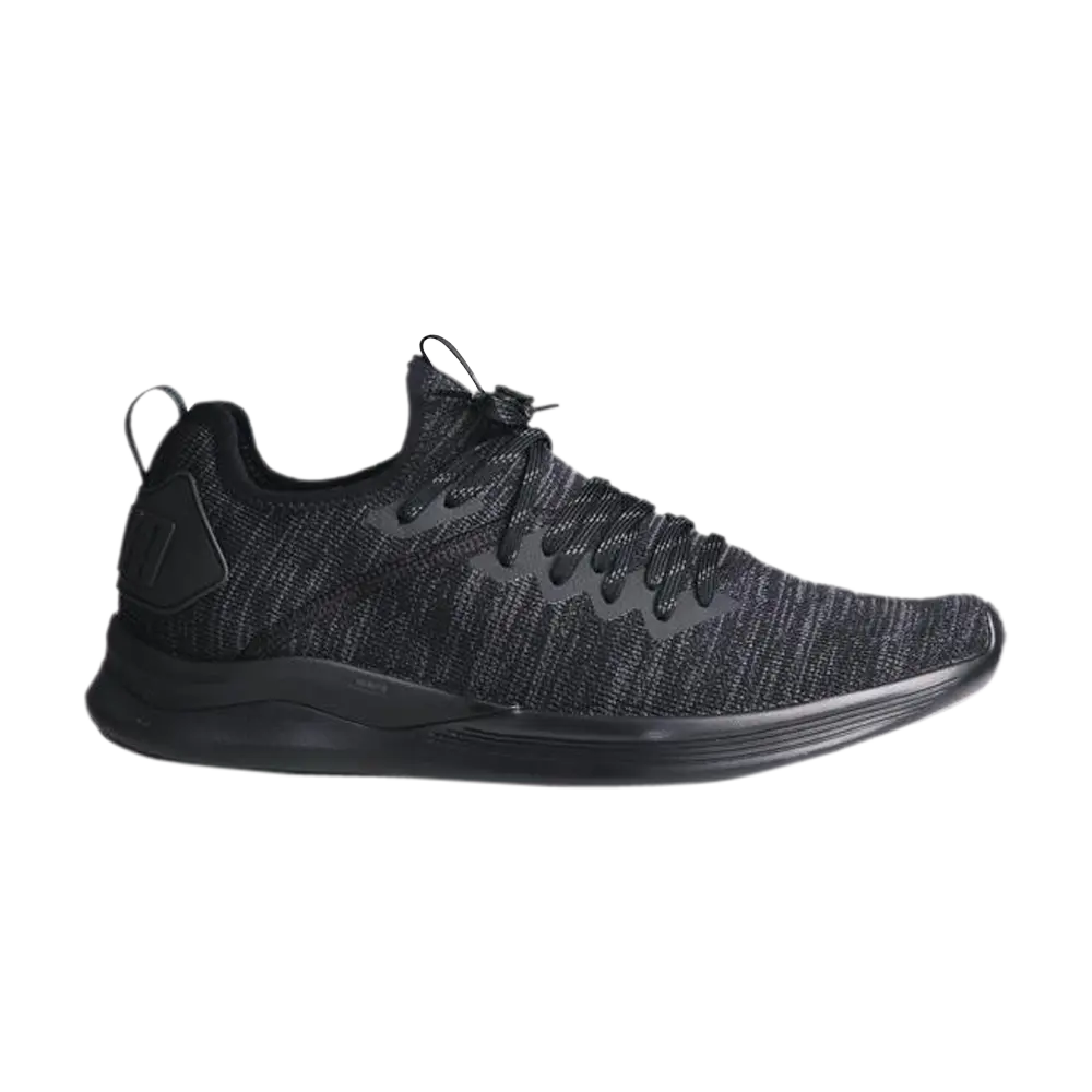 Puma men's ignite flash evoknit hotsell