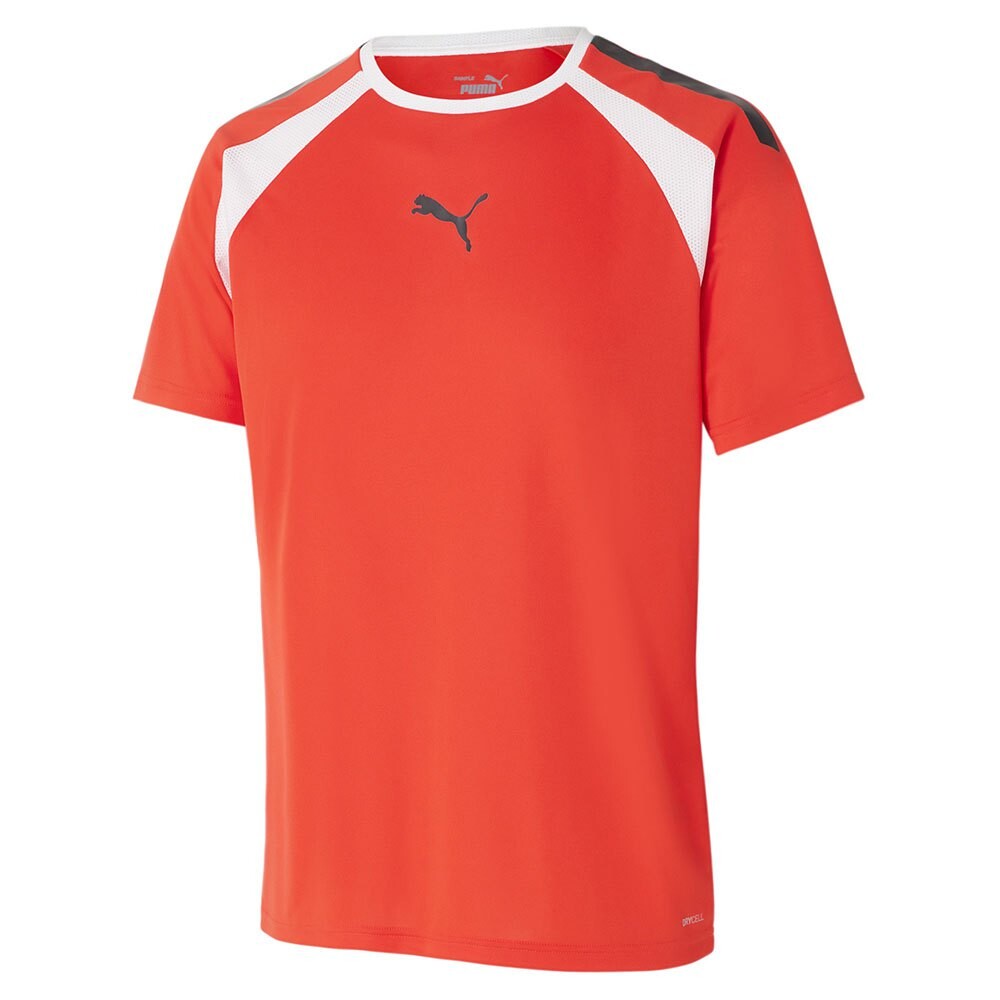 

Футболка Puma Team Liga, красный