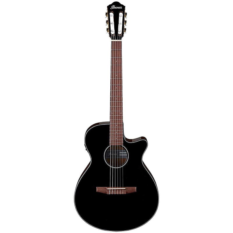 Акустическая гитара Ibanez AEG50N Nylon-String Acoustic-Electric Guitar(New)