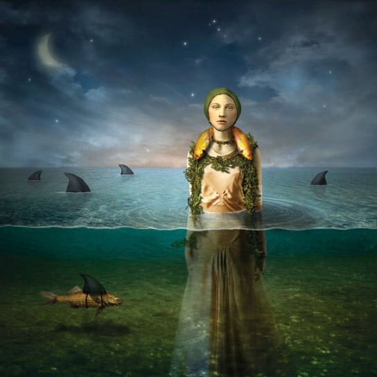 

Виниловая пластинка The Bled - Found In The Flood