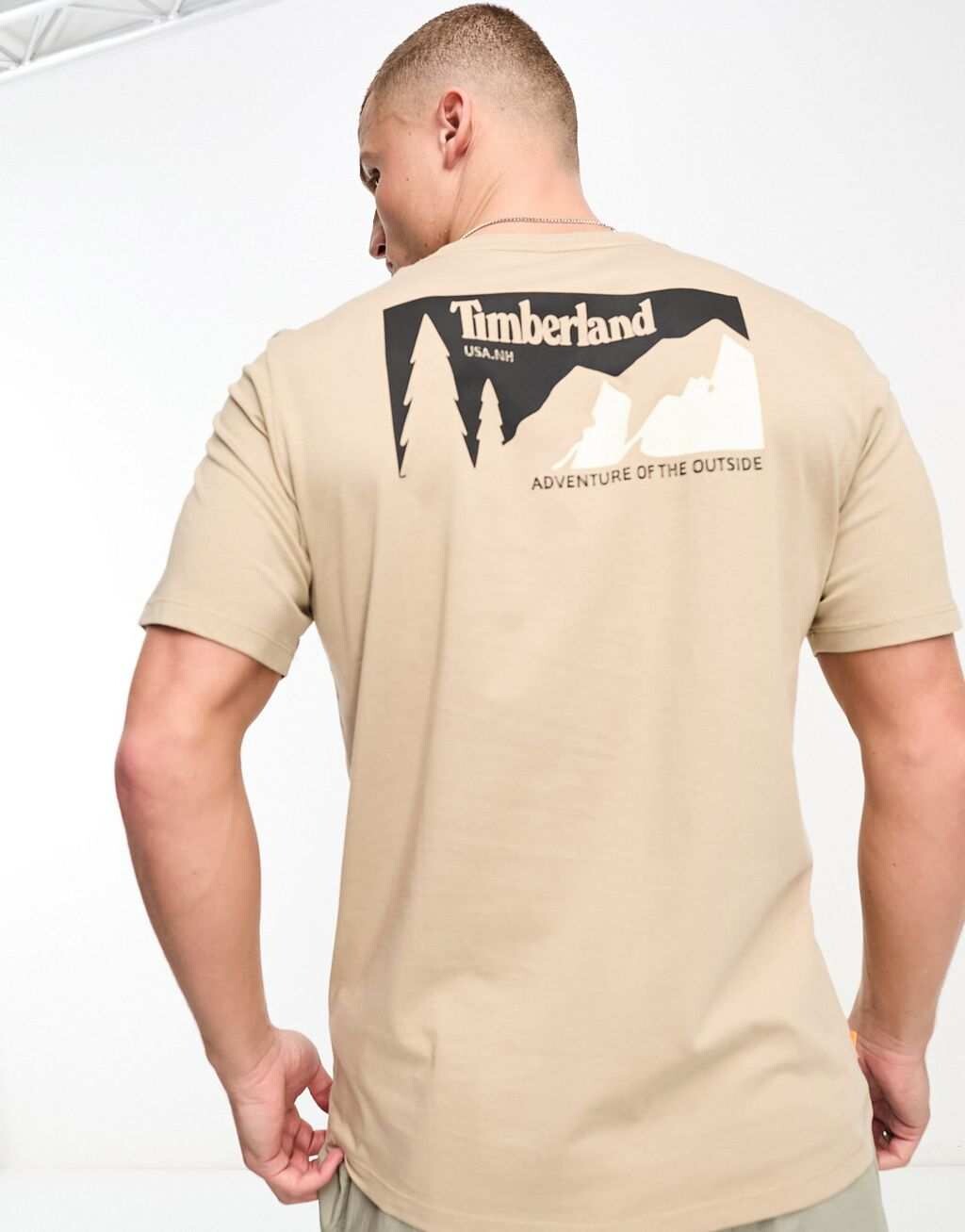 

Бежевая футболка с горным принтом на спине Timberland, Бежевый