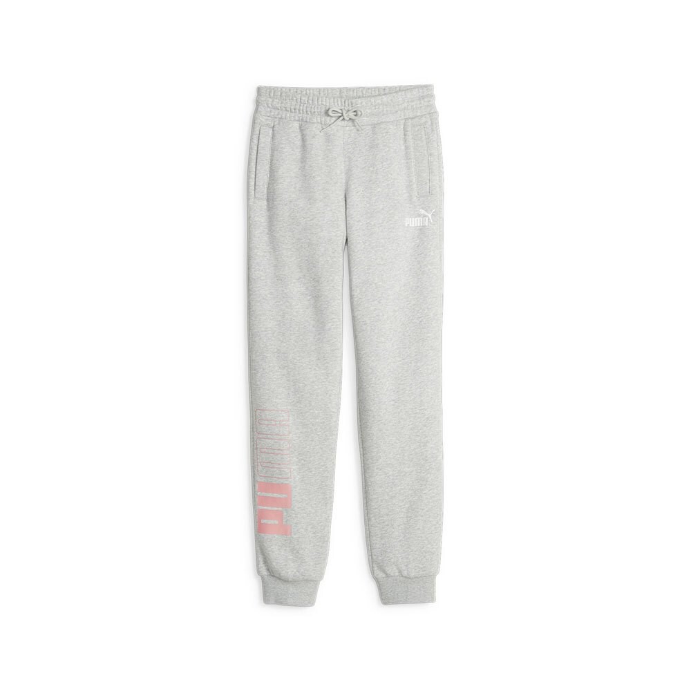 

Спортивные брюки Puma Power Colorblock FL G, серый