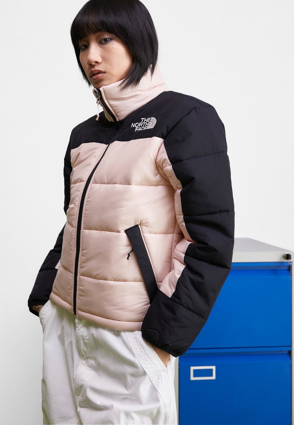 

Зимняя куртка The North Face
