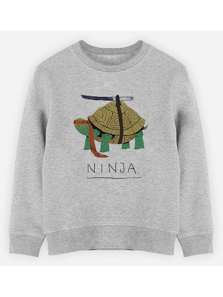 

Толстовка WOOOP Ninja Turtle, серый