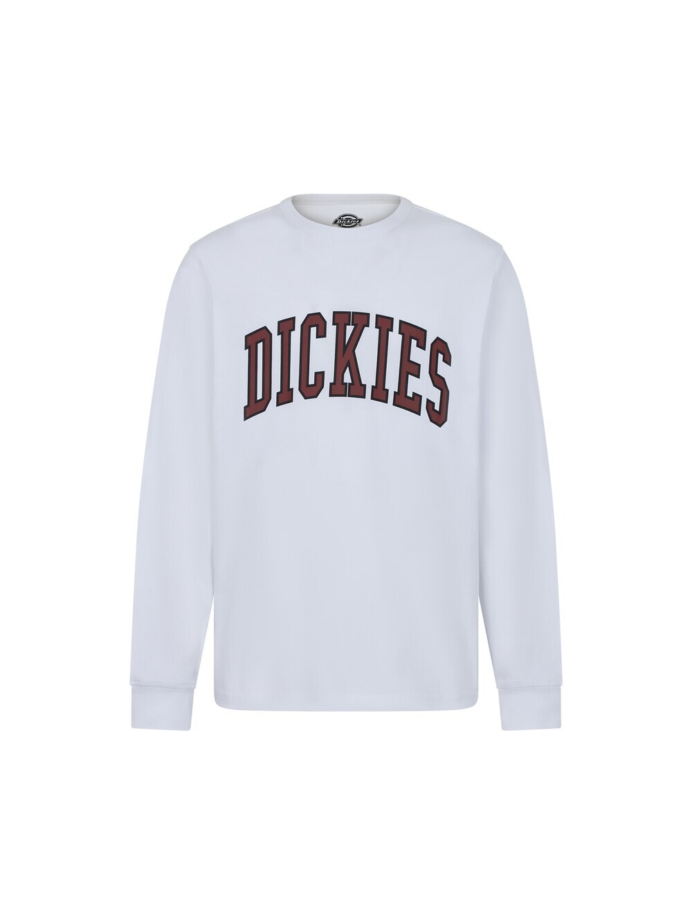 

Толстовка Dickies AITKIN TEE LS, белый