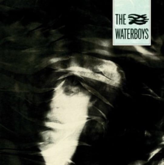 

Виниловая пластинка The Waterboys - The Waterboys