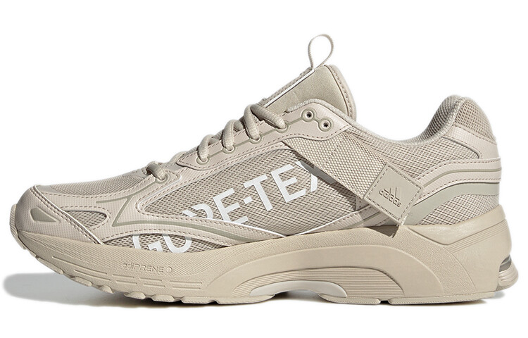 

Кроссовки Adidas Unisex Spiritain 2000 Gtx Коричневые
