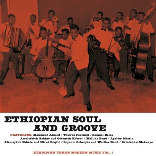 Виниловая пластинка Various Artists - Ethiopian Soul and Groove