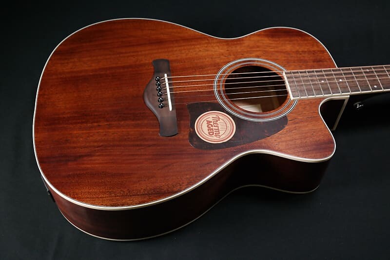 

Акустическая гитара Ibanez AC340CEOPN Open Pore Natural 844
