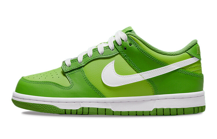 

Nike Dunk Low Chlorophyll (GS)