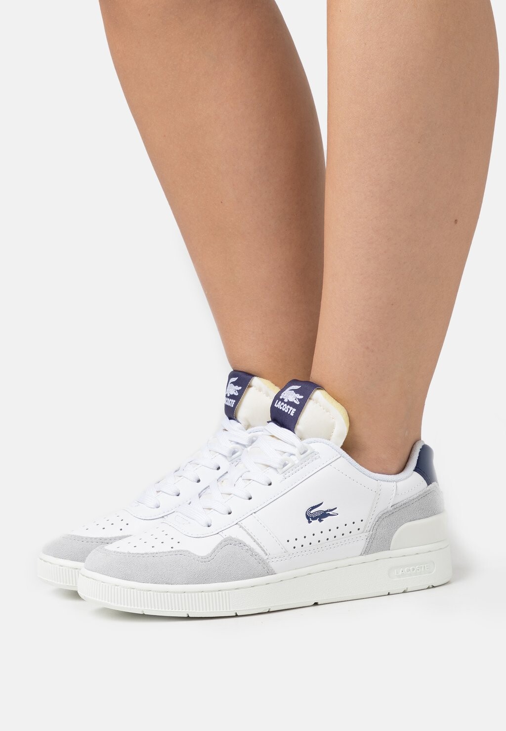 

Низкие кроссовки T-CLIP 223 5 Lacoste, белый/темно-синий