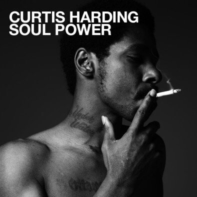 

Виниловая пластинка Harding Curtis - Soul Power