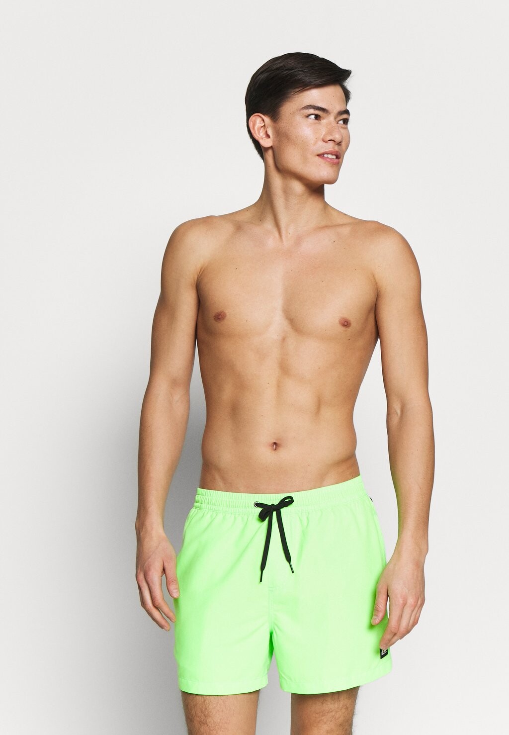 

Шорты для плавания EVERYDAY VOLLEY 15 Quiksilver, зеленый геккон