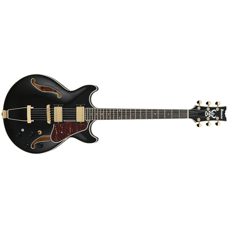 

Электрогитара Ibanez AMH90 Artcore Expressionist Semi-Hollow Guitar Bound Macassar Ebony Black