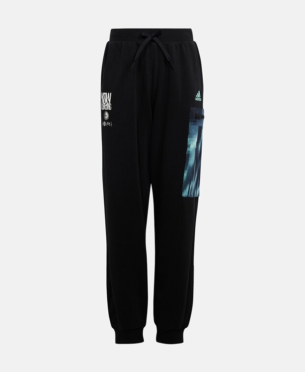 

Спортивные штаны adidas Sportswear, черный