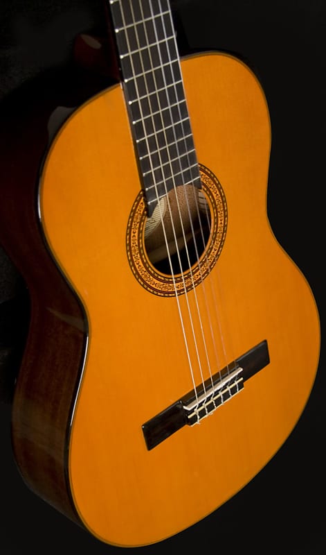 цена Акустическая гитара Washburn C5-WSH Classical Series C5 Nylon Mahogany Neck 6-String Acoustic Guitar - Natural