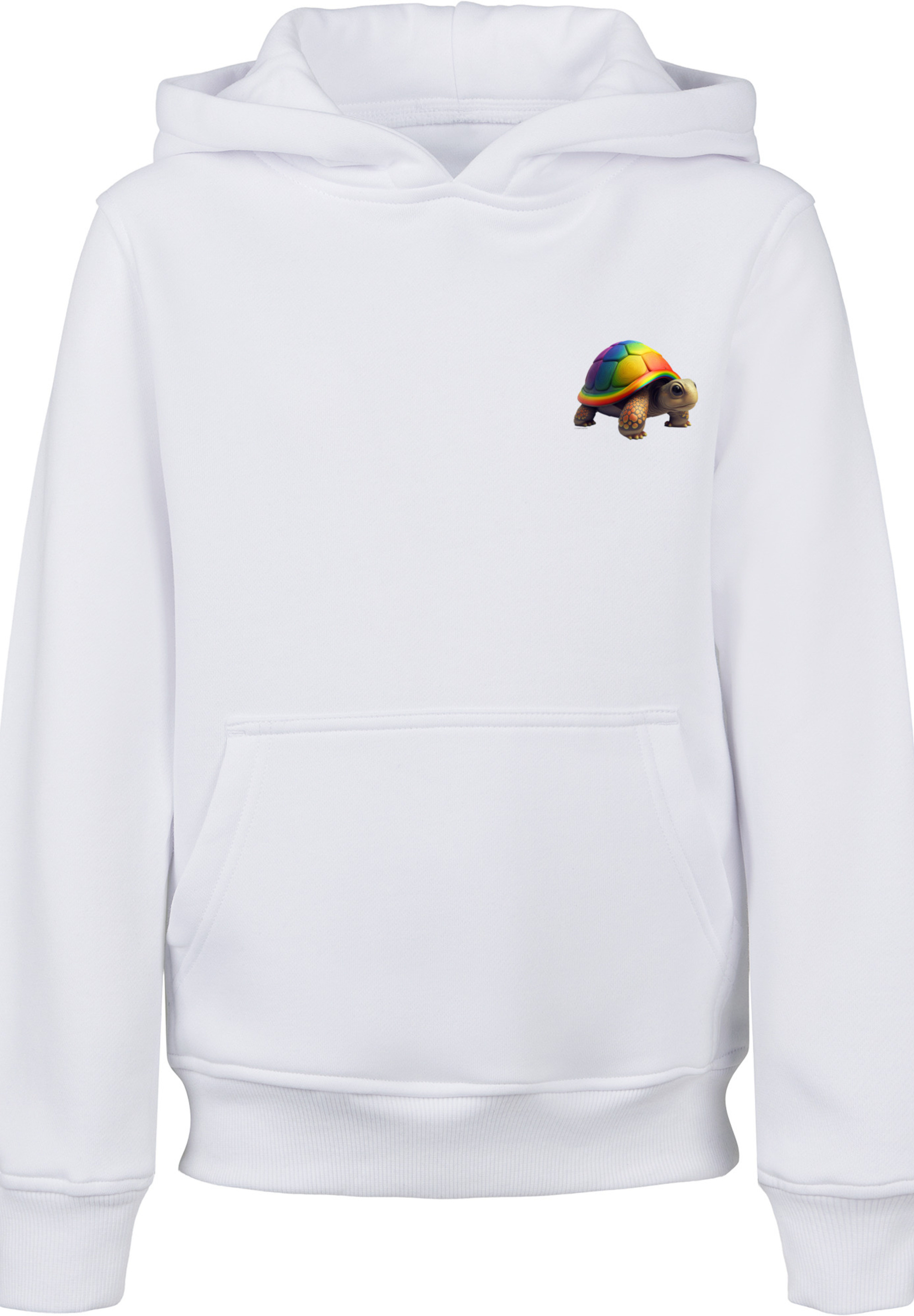 Пуловер F4NT4STIC Hoodie Rainbow Turtle HOODIE UNISEX, белый