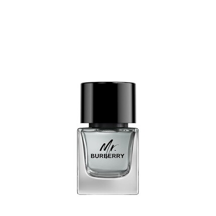 

Mr, Туалетная вода-спрей для мужчин 50 мл, Burberry