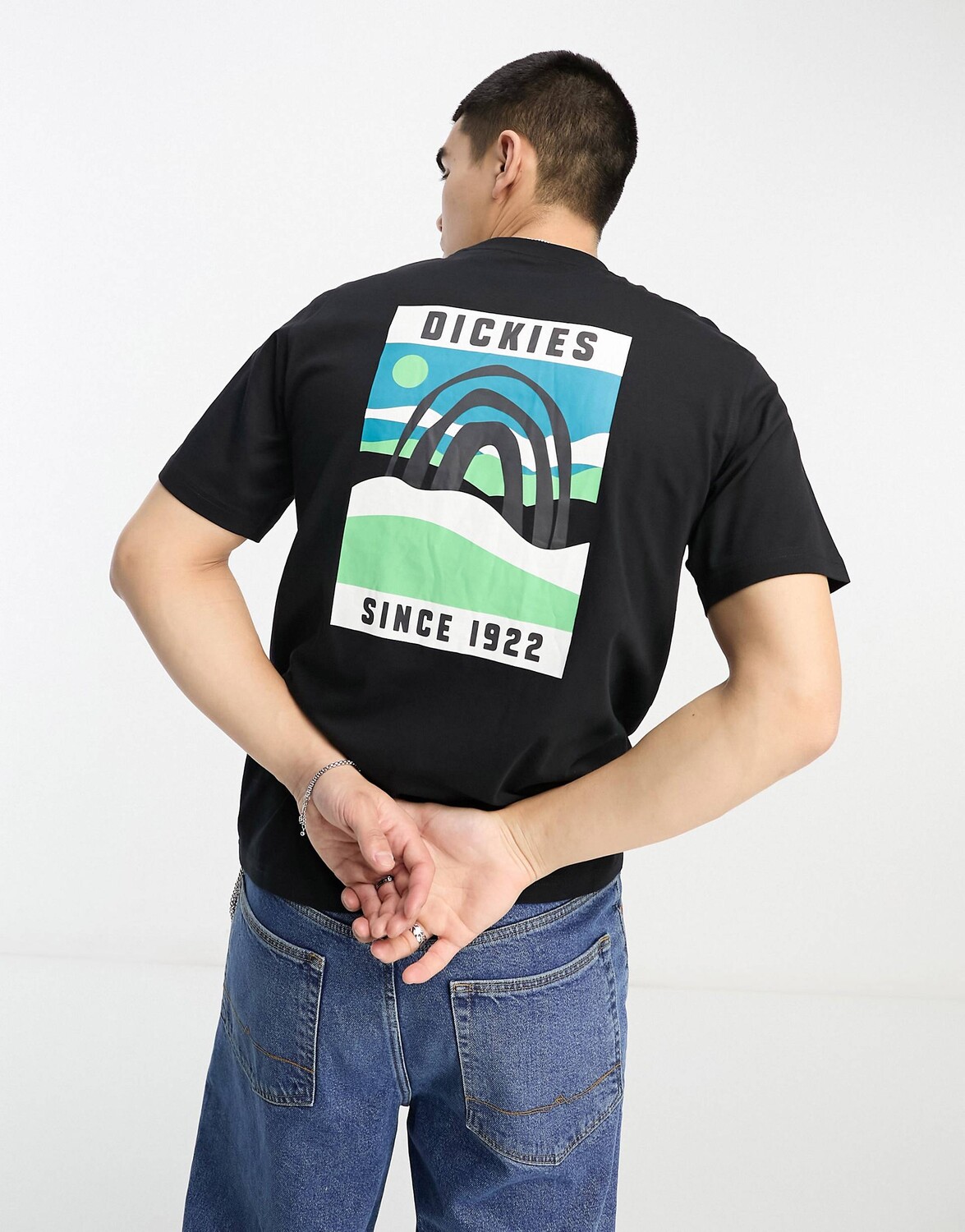 

Черная футболка с принтом на спине Dickies Baker City, Черный