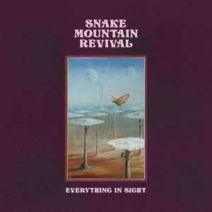 Виниловая пластинка Snake Mountain Revival - Everything In Sight