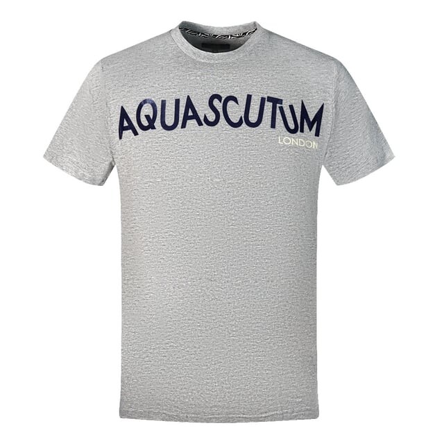 

Серая футболка с искаженным логотипом Aquascutum, серый