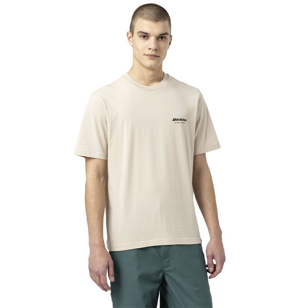 

Футболка Dickies Artondale Box, серый