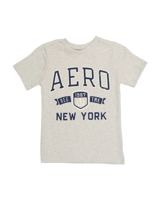 

Футболка с графическим логотипом Big Boys Aeropostale Kids, серый