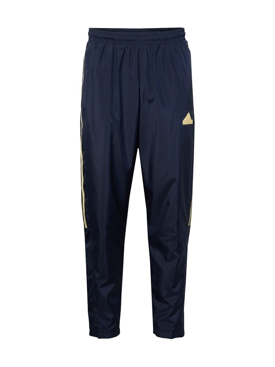 

Спортивные брюки ADIDAS SPORTSWEAR Regular Workout Pants TIRO, морской синий