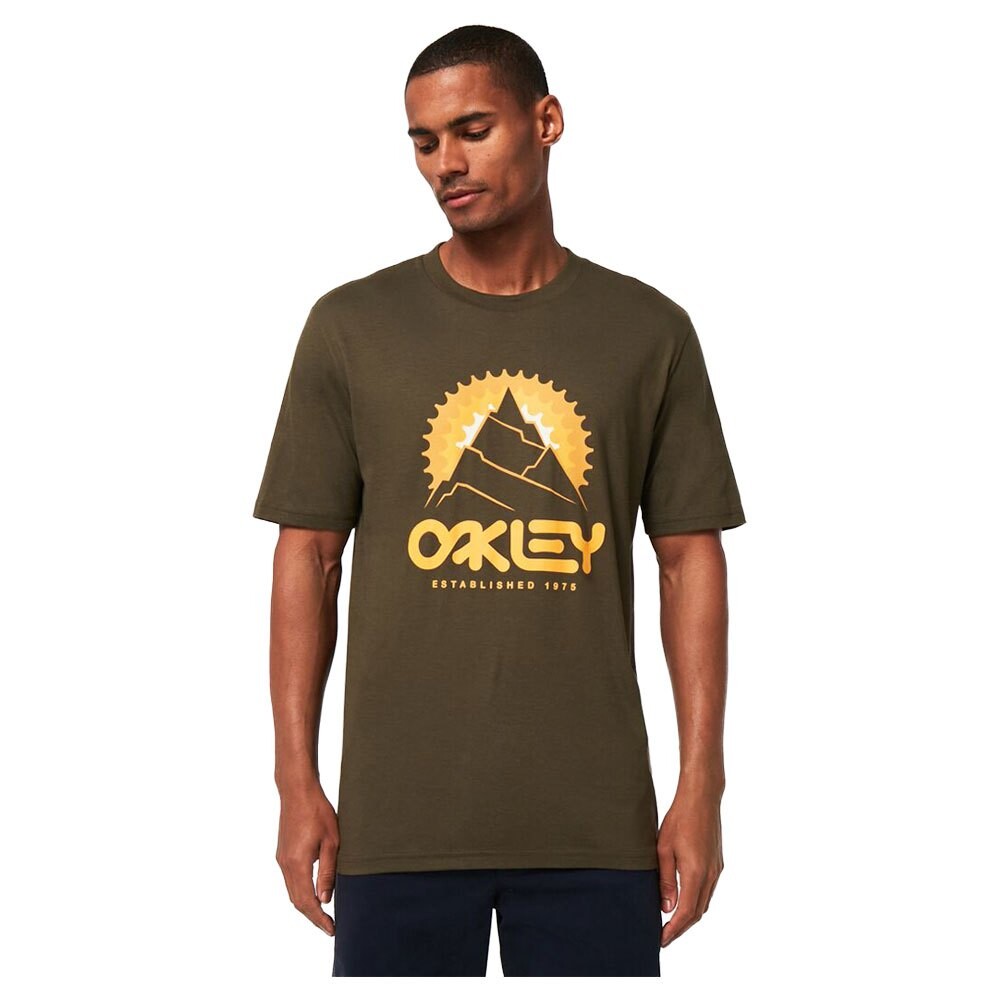 

Футболка Oakley Mountains Out B1B, коричневый