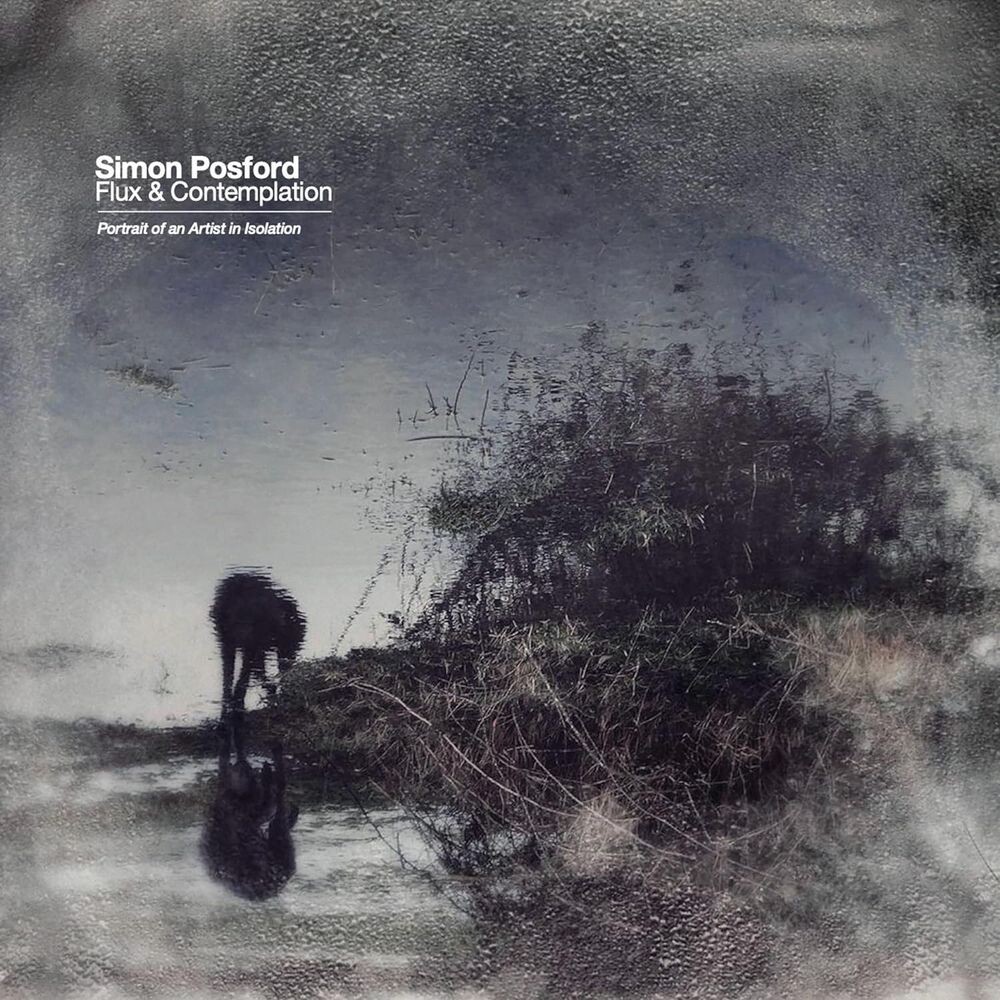 

Виниловая пластинка LP Flux & Contemplation: Portrait Of An Artist In Isolation - Simon Posford
