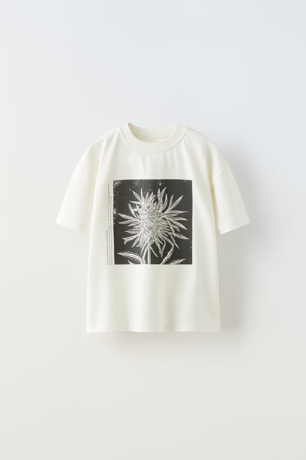 

Футболка с принтом ZARA, экрю
